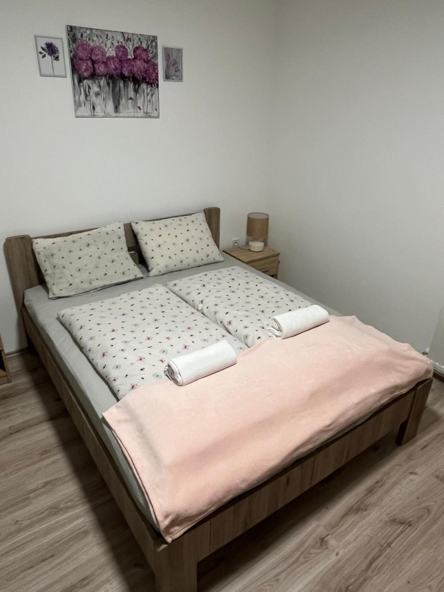 Mini Zoo Apartman Nagykanizsa Kültér fotó